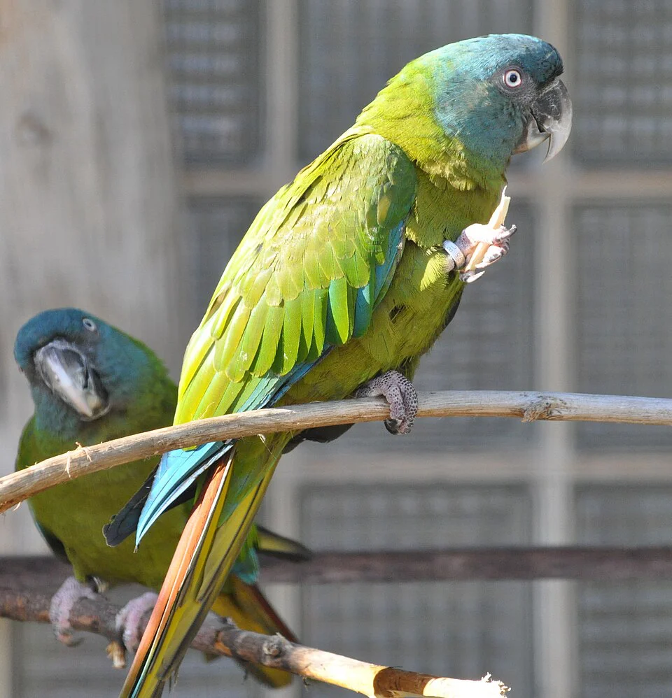 Maracanã – foto 2