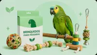 Brinquedos